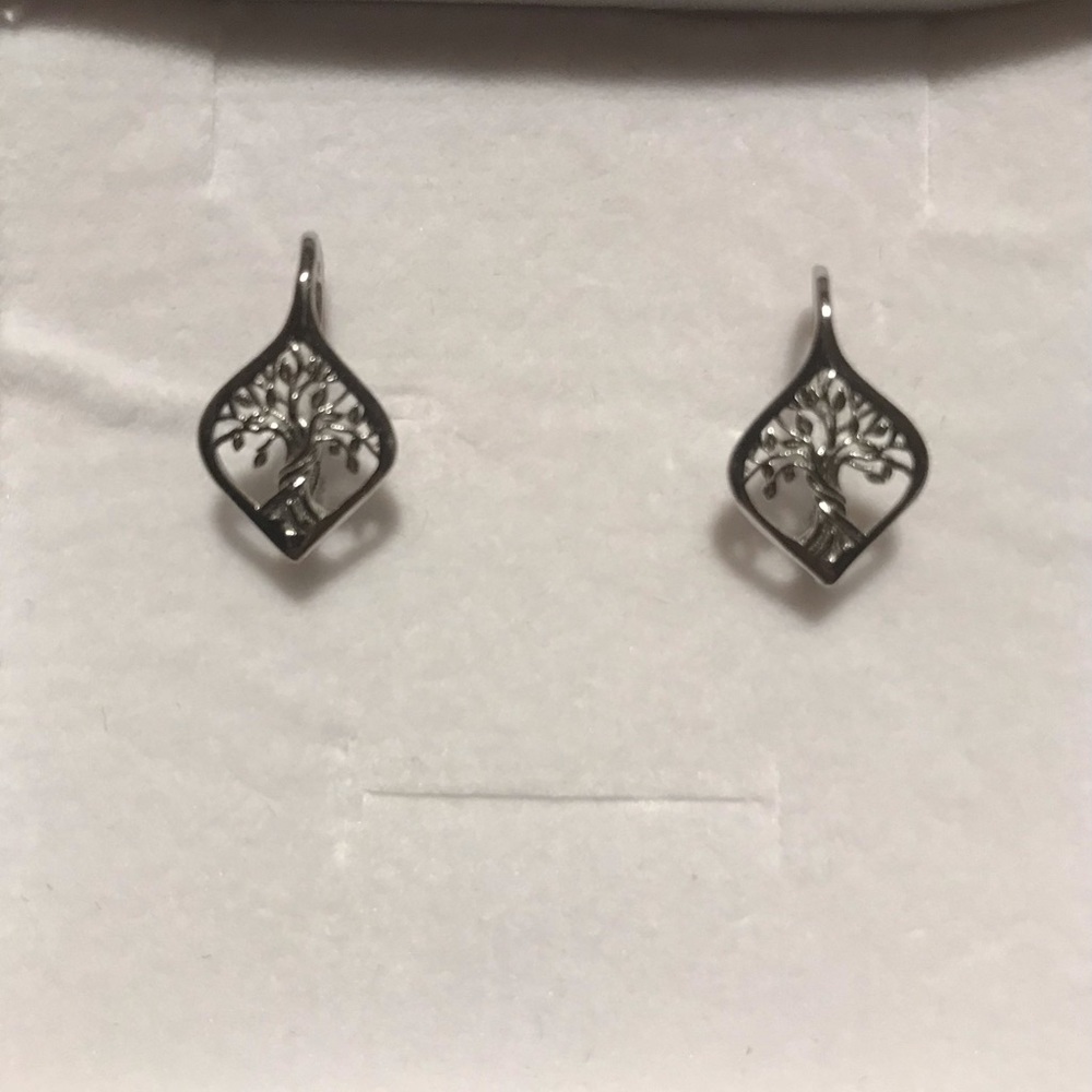 Sterling silver earrings